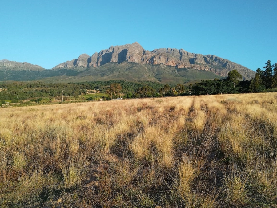 0 Bedroom Property for Sale in Ranzadale Western Cape